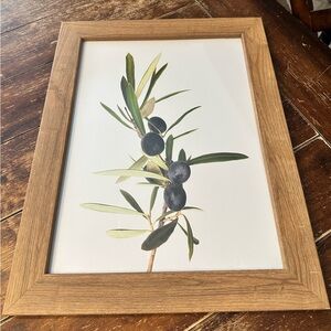 Framed Olive Branch Art Print